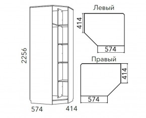 Детская Фанк Шкаф угловой Левый/Правый НМ 013.04-02 М в Казани - kazan.mebel24.online | фото 3