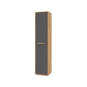 ФЛОРИДА Ф11 Шкаф-пенал (дуб золотой/графит) в Казани - kazan.mebel24.online | фото