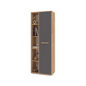 ФЛОРИДА Ф12 Шкаф-стеллаж (дуб золотой/графит) в Казани - kazan.mebel24.online | фото