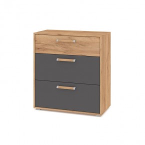 ФЛОРИДА Ф41 Комод (дуб золотой/графит) в Казани - kazan.mebel24.online | фото