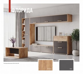 ФЛОРИДА Гостиная (модульная) дуб золотой/графит в Казани - kazan.mebel24.online | фото