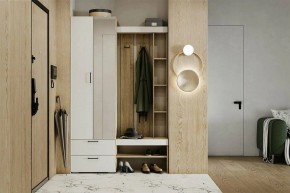 Гарнитур для прихожей Торонто в Казани - kazan.mebel24.online | фото 5