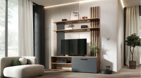 КАРОЛИНА Гостиная (дуб вотан/графит) в Казани - kazan.mebel24.online | фото