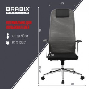 Кресло офисное BRABIX PREMIUM "Ultimate EX-801" хром, плотная двойная сетка Х2, черное/серое, 532918 в Казани - kazan.mebel24.online | фото 5