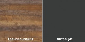 Кухонный гарнитур угловой Трансильвания 2600х1600 мм (Стол. 38 мм) в Казани - kazan.mebel24.online | фото 3