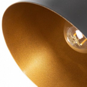 Люстра на штанге Arte Lamp Thomas A7032PL-6BK в Казани - kazan.mebel24.online | фото 7
