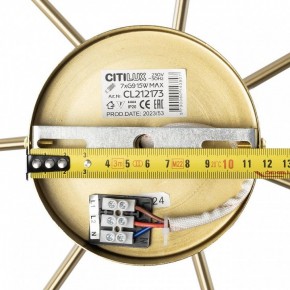 Люстра на штанге Citilux Tonga CL212173 в Казани - kazan.mebel24.online | фото 9