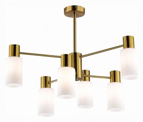 Люстра на штанге EVOLUCE Gessi SLE1139-302-06 в Казани - kazan.mebel24.online | фото 2