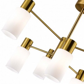 Люстра на штанге EVOLUCE Gessi SLE1139-302-06 в Казани - kazan.mebel24.online | фото 3