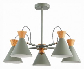 Люстра на штанге EVOLUCE Modica SLE125112-05 в Казани - kazan.mebel24.online | фото 1
