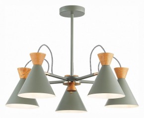 Люстра на штанге EVOLUCE Modica SLE125112-05 в Казани - kazan.mebel24.online | фото 2
