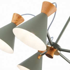Люстра на штанге EVOLUCE Modica SLE125112-05 в Казани - kazan.mebel24.online | фото 3