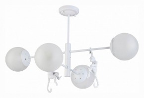 Люстра на штанге EVOLUCE Tenato SLE115102-04 в Казани - kazan.mebel24.online | фото 2