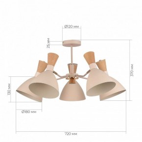 Люстра на штанге EVOLUCE VISTA SLE1256-502-05 в Казани - kazan.mebel24.online | фото 8