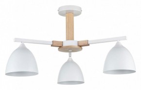Люстра на штанге Lumion Colange 8095/3C в Казани - kazan.mebel24.online | фото