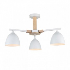 Люстра на штанге Lumion Colange 8095/3C в Казани - kazan.mebel24.online | фото 2