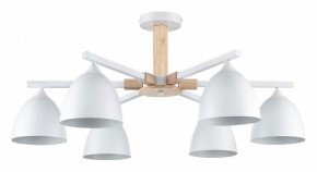 Люстра на штанге Lumion Colange 8095/6C в Казани - kazan.mebel24.online | фото