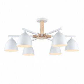 Люстра на штанге Lumion Colange 8095/6C в Казани - kazan.mebel24.online | фото 2