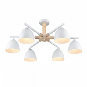 Люстра на штанге Lumion Colange 8095/6C в Казани - kazan.mebel24.online | фото 3