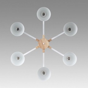 Люстра на штанге Lumion Colange 8095/6C в Казани - kazan.mebel24.online | фото 4