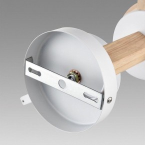 Люстра на штанге Lumion Colange 8095/6C в Казани - kazan.mebel24.online | фото 6