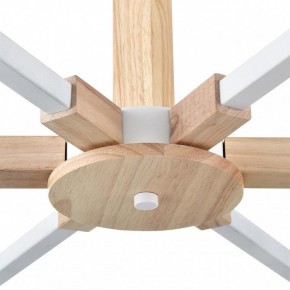 Люстра на штанге Lumion Colange 8095/6C в Казани - kazan.mebel24.online | фото 7