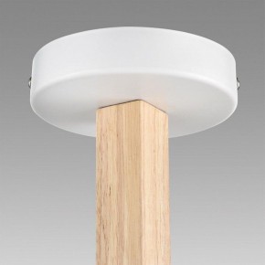 Люстра на штанге Lumion Colange 8095/6C в Казани - kazan.mebel24.online | фото 8