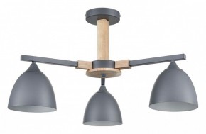 Люстра на штанге Lumion Colange 8096/3C в Казани - kazan.mebel24.online | фото