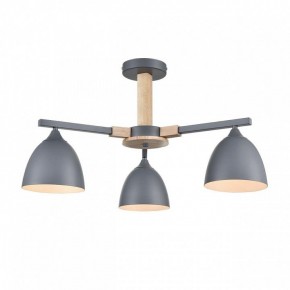 Люстра на штанге Lumion Colange 8096/3C в Казани - kazan.mebel24.online | фото 2