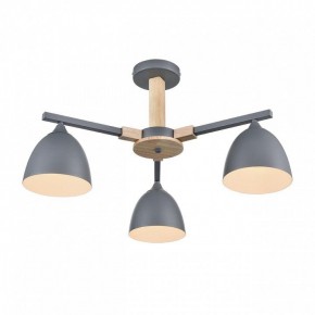 Люстра на штанге Lumion Colange 8096/3C в Казани - kazan.mebel24.online | фото 3