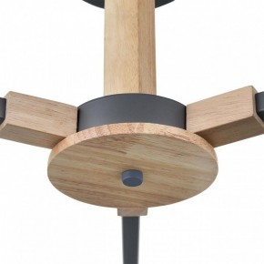 Люстра на штанге Lumion Colange 8096/3C в Казани - kazan.mebel24.online | фото 7
