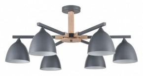 Люстра на штанге Lumion Colange 8096/6C в Казани - kazan.mebel24.online | фото