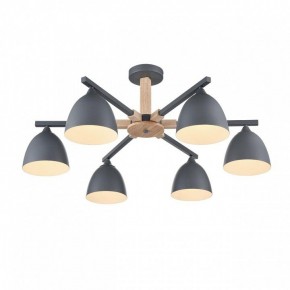 Люстра на штанге Lumion Colange 8096/6C в Казани - kazan.mebel24.online | фото 3