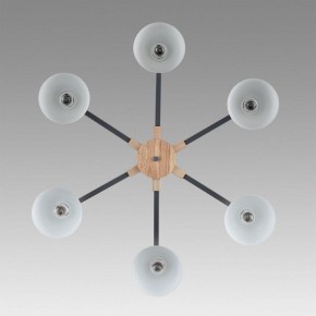 Люстра на штанге Lumion Colange 8096/6C в Казани - kazan.mebel24.online | фото 4