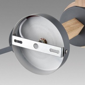 Люстра на штанге Lumion Colange 8096/6C в Казани - kazan.mebel24.online | фото 6
