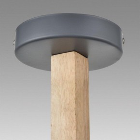 Люстра на штанге Lumion Colange 8096/6C в Казани - kazan.mebel24.online | фото 9