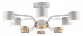 Люстра на штанге Lumion Rondo 8231/6C в Казани - kazan.mebel24.online | фото 2