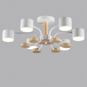 Люстра на штанге Lumion Rondo 8231/6C в Казани - kazan.mebel24.online | фото 4