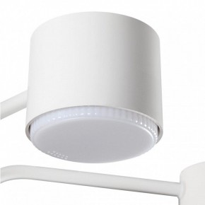 Люстра на штанге Lumion Rondo 8231/6C в Казани - kazan.mebel24.online | фото 7
