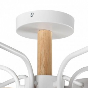 Люстра на штанге Lumion Rondo 8231/6C в Казани - kazan.mebel24.online | фото 8