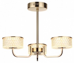 Люстра на штанге Lumion Venice 6579/40CL в Казани - kazan.mebel24.online | фото 5