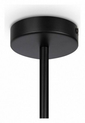 Люстра на штанге Maytoni Memory MOD177PL-04B в Казани - kazan.mebel24.online | фото 4
