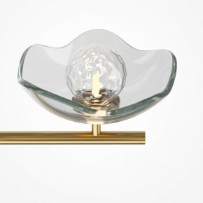 Люстра на штанге Maytoni Miracle MOD207PL-05BS в Казани - kazan.mebel24.online | фото 5