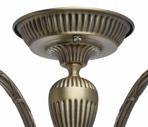 Люстра на штанге MW-Light Аманда 6 481011805 в Казани - kazan.mebel24.online | фото 10