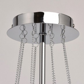 Люстра на штанге MW-Light Федерика 84 684010305 в Казани - kazan.mebel24.online | фото 13