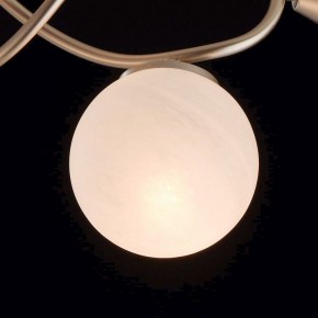 Люстра на штанге MW-Light Оливия 5 306012709 в Казани - kazan.mebel24.online | фото 6