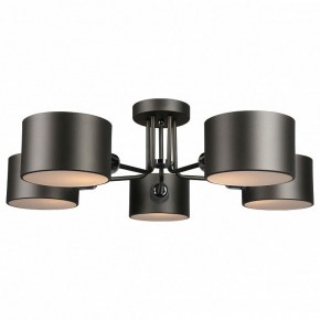 Люстра на штанге Omnilux Lisera OML-54507-05 в Казани - kazan.mebel24.online | фото 2