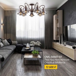 Люстра на штанге Omnilux Molfetta OML-50607-07 в Казани - kazan.mebel24.online | фото 2