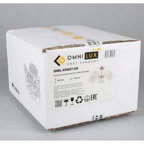 Люстра на штанге Omnilux Rapallo OML-65007-05 в Казани - kazan.mebel24.online | фото 5