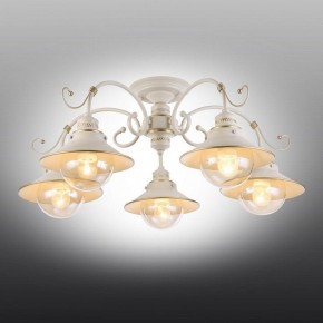 Люстра на штанге Omnilux Torri OML-50807-05 в Казани - kazan.mebel24.online | фото 2